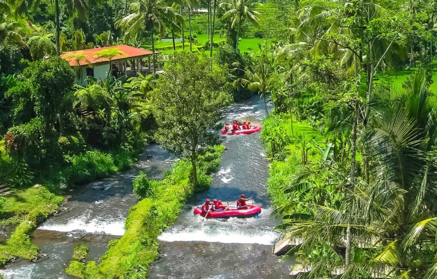 Discover Ubud In 4 Days Private Tour Package