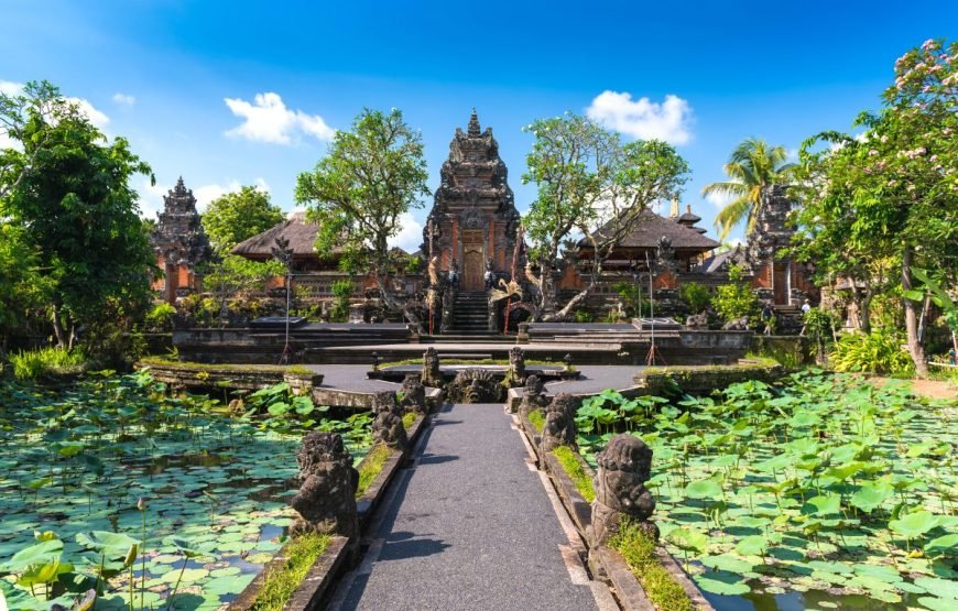 Discover Ubud In 4 Days Private Tour Package