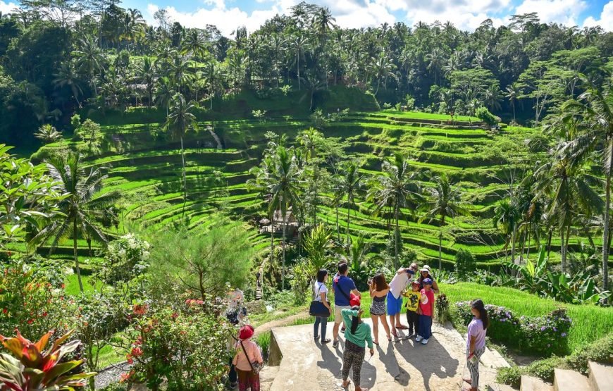 Discover Ubud In 4 Days Private Tour Package