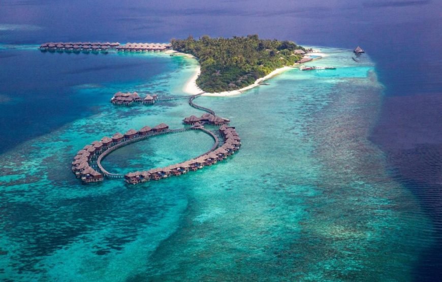 COCO PALM BODU HITHI