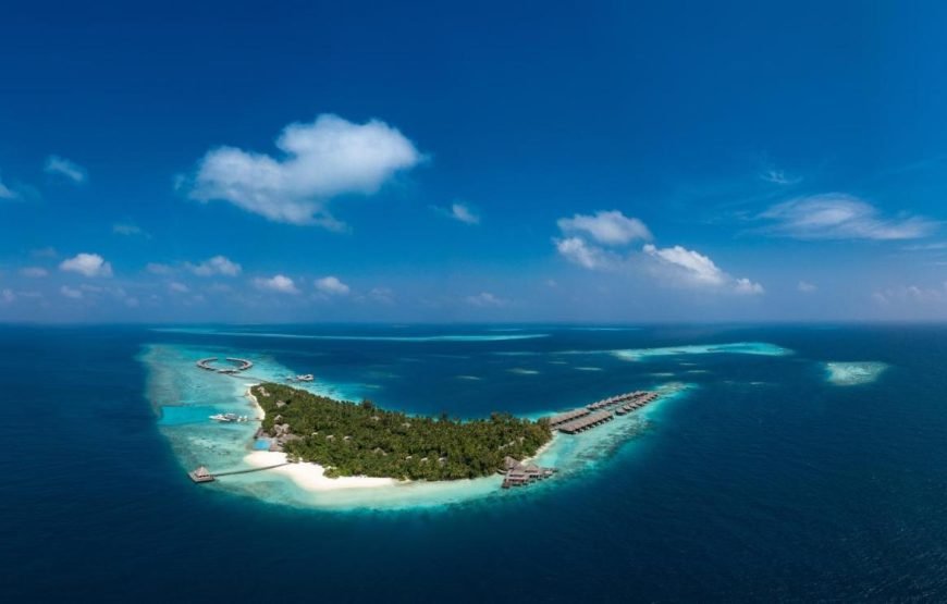 COCO PALM BODU HITHI