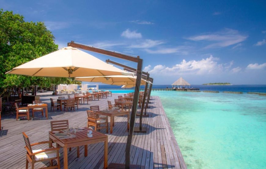 COCO PALM BODU HITHI