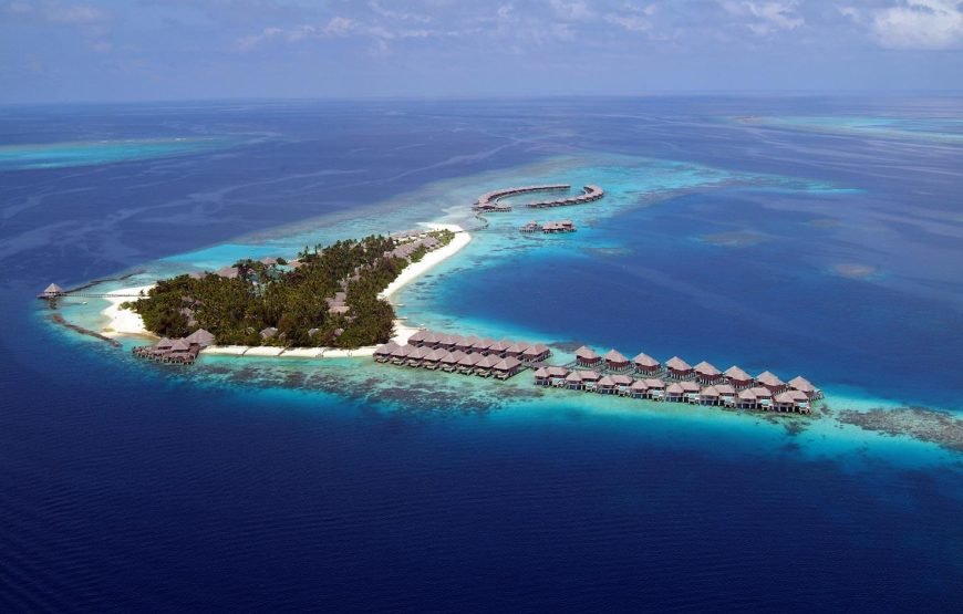 COCO PALM BODU HITHI