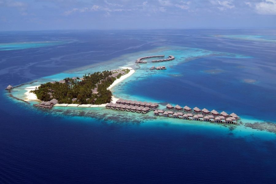 COCO PALM BODU HITHI